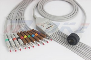 Factory selling Flexible Patient Ecg Cable Ekg Eeg Cable -
 Kenz PC-104 EKG Cable With 10/12 Leadwires, AHA, 4.0 Banana Type – Medke